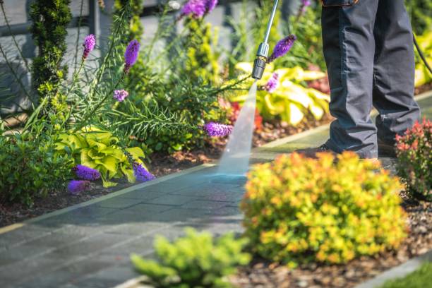 Best Fence Cleaning  in Mission Nyon, CA